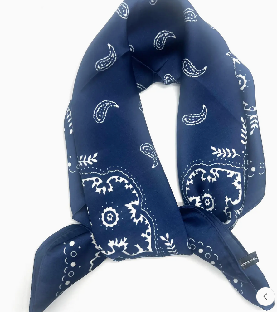 French Silk Scarfs